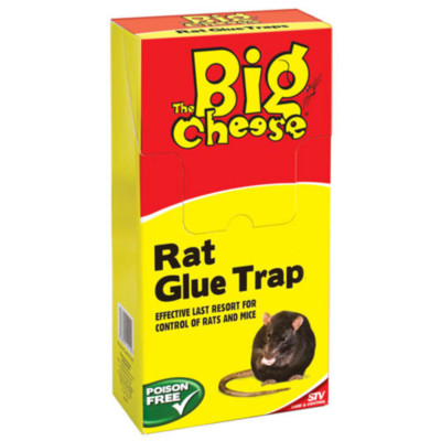 the big cheese rat glue traps